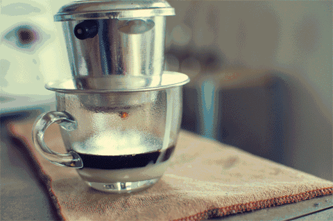 25.gif