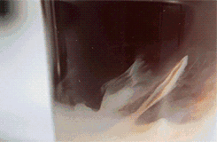 38.gif