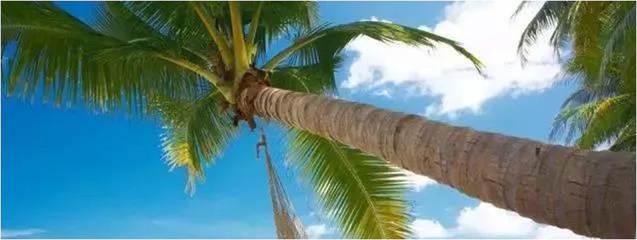 [Vietnam tourism] Vietnam, Vietnam, the United States | rich island